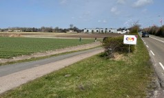 News image: Het groen veilen seizoen komt snel dichterbij!